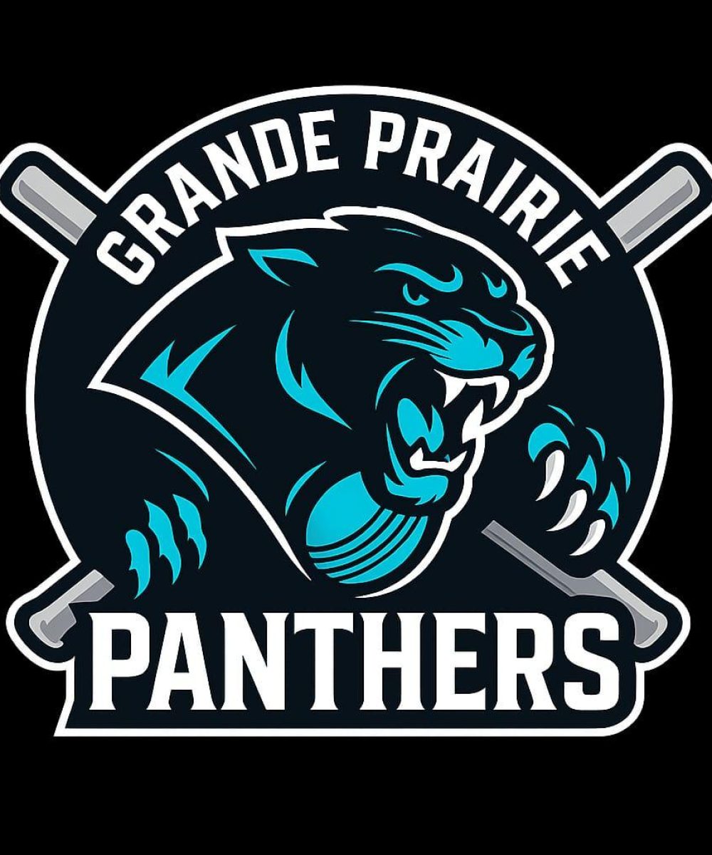 Panthers logo